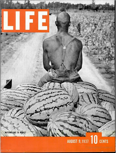 Al Burgert's "Fifty Million Watermelons go to Market" cover for Life, August 9, 1937